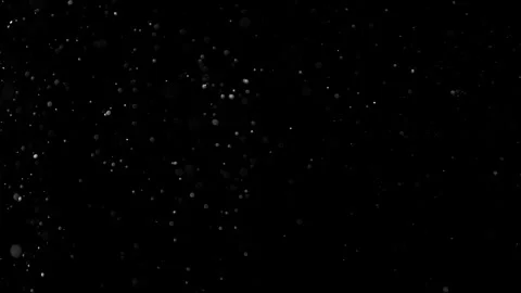 Natural Organic Dust Particles Float On Black Background. Dust In Motion. 库存影片 301583957
