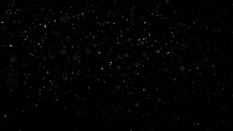 Natural Organic Dust Particles Float On Black Background. Dust In Motion. 库存影片 301584009