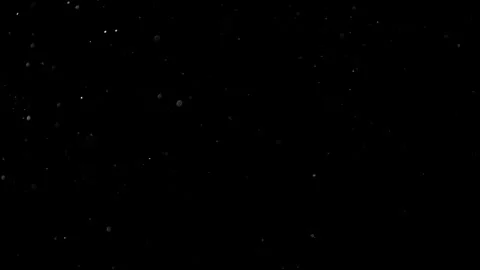 Natural Organic Dust Particles Float On Black Background. Dust In Motion. Stock Footage 302314094