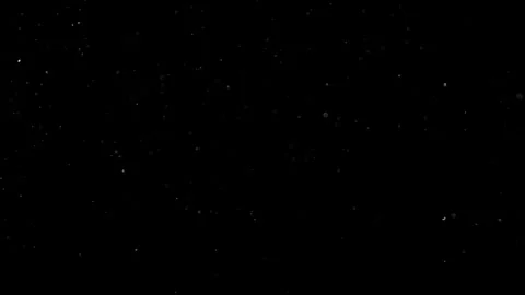 Natural Organic Dust Particles Float On Black Background. Dust In Motion. Stock Footage 302314108