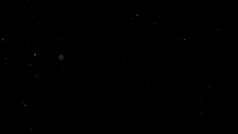 Natural Organic Dust Particles Float On Black Background. Dust In Motion. Stock Footage 302314116