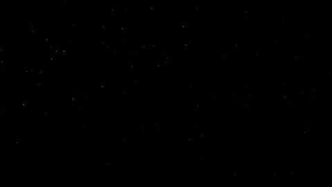 Natural Organic Dust Particles Float On Black Background. Dust In Motion. Stock Footage 302314132