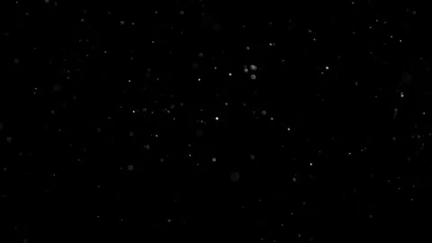 Natural Organic Dust Particles Float On Black Background. Dust In Motion. Stock Footage 302314316