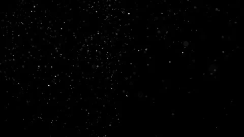 Natural Organic Dust Particles Float On Black Background. Dust In Motion. Stock Footage 302314363