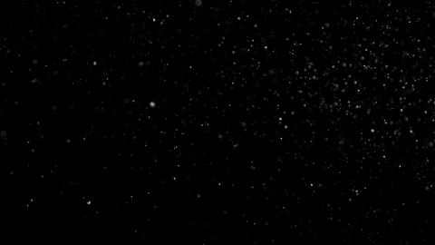 Natural Organic Dust Particles Float On Black Background. Dust In Motion. Stock Footage 302314364