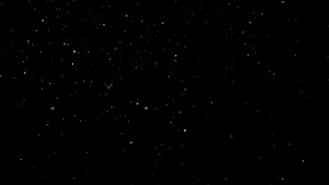 Natural Organic Dust Particles Float On Black Background. Dust In Motion. Stock Footage 302314404