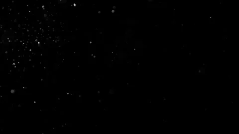 Natural Organic Dust Particles Float On Black Background. Dust In Motion. Stock Footage 302314437