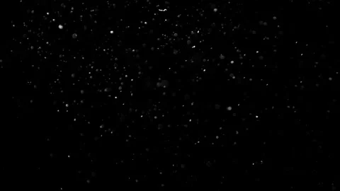 Natural Organic Dust Particles Float On Black Background. Dust In Motion. Stock Footage 302314471