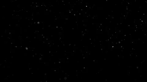 Natural Organic Dust Particles Float On Black Background. Dust In Motion. Stock Footage 302314484
