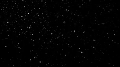 Natural Organic Dust Particles Float On Black Background. Dust In Motion. Stock Footage 302314489