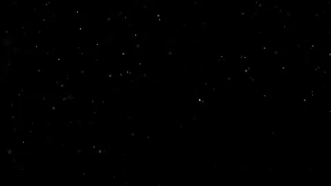 Natural Organic Dust Particles Float On Black Background. Dust In Motion. Stock Footage 302314539