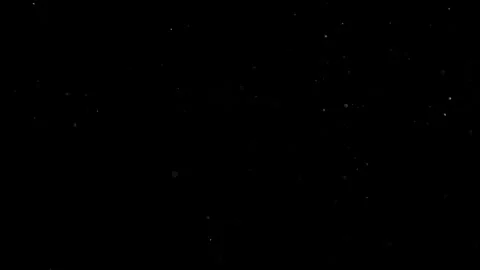 Natural Organic Dust Particles Float On Black Background. Dust In Motion. Stock Footage 302314540