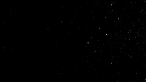 Natural Organic Dust Particles Float On Black Background. Dust In Motion. Stock Footage 302314547