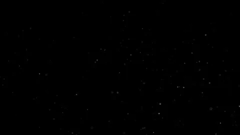 Natural Organic Dust Particles Float On Black Background. Dust In Motion. Stock Footage 302314584