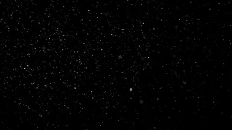 Natural Organic Dust Particles Float On Black Background. Dust In Motion. Stock Footage 302314607