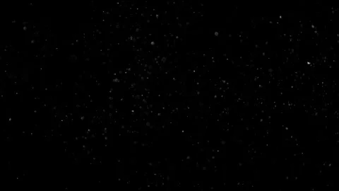Natural Organic Dust Particles Float On Black Background. Dust In Motion. Stock Footage 302314637
