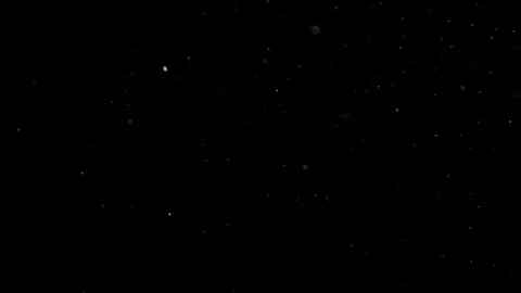 Natural Organic Dust Particles Float On Black Background. Dust In Motion. Stock Footage 302314639