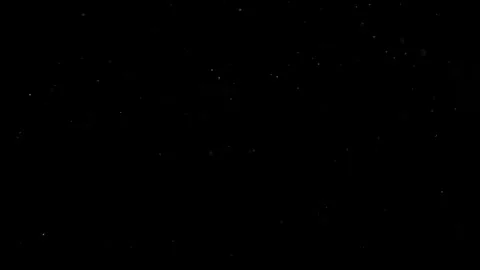 Natural Organic Dust Particles Float On Black Background. Dust In Motion. Stock Footage 302314648