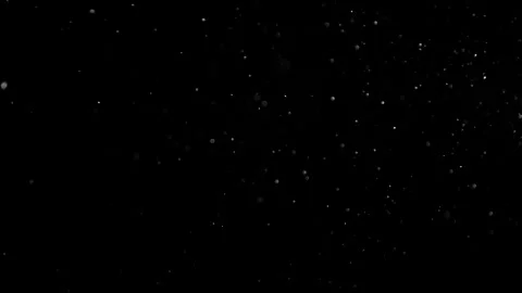 Natural Organic Dust Particles Float On Black Background. Dust In Motion. Stock Footage 302314657