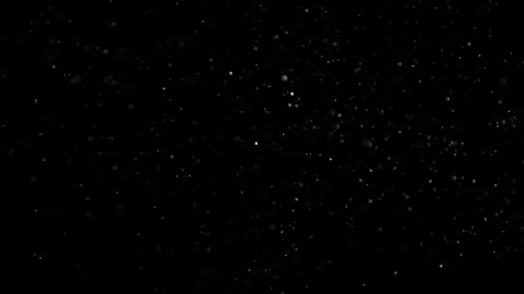 Natural Organic Dust Particles Float On Black Background. Dust In Motion. Stock Footage 302314661