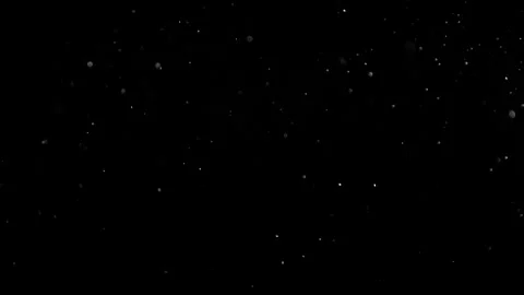 Natural Organic Dust Particles Float On Black Background. Dust In Motion. Stock Footage 302314670