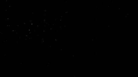 Natural Organic Dust Particles Float On Black Background. Dust In Motion. Vidéo 302691260