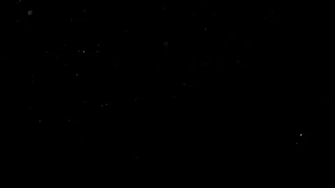 Natural Organic Dust Particles Float On Black Background. Dust In Motion. Vidéo 302691270