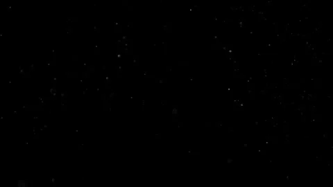 Natural Organic Dust Particles Float On Black Background. Dust In Motion. Vidéo 302691298