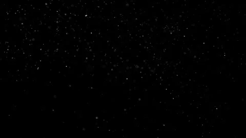Natural Organic Dust Particles Float On Black Background. Dust In Motion. Vidéo 302691440