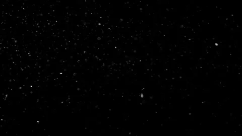 Natural Organic Dust Particles Float On Black Background. Dust In Motion. Vidéo 302691495