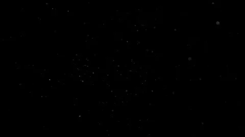 Natural Organic Dust Particles Float On Black Background. Dust In Motion. Vidéo 302691584