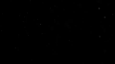 Natural Organic Dust Particles Float On Black Background. Dust In Motion. Vidéo 302691585