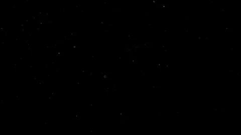 Natural Organic Dust Particles Float On Black Background. Dust In Motion. Vidéo 302691651