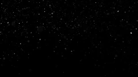 Natural Organic Dust Particles Float On Black Background. Dust In Motion. Vidéo 302691705