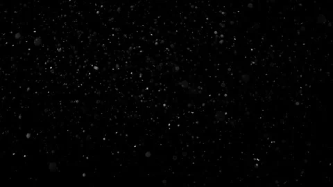 Natural Organic Dust Particles Float On Black Background. Dust In Motion. Vidéo 302691820