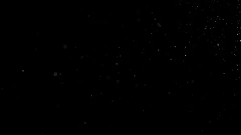 Natural Organic Dust Particles Float On Black Background. Dust In Motion. Vidéo 302691885
