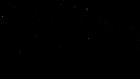 Natural Organic Dust Particles Float On Black Background. Dust In Motion. Vidéo 302692042