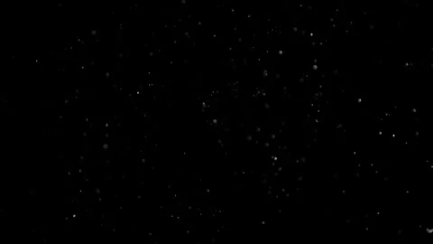 Natural Organic Dust Particles Float On Black Background. Dust In Motion. Vidéo 302692143