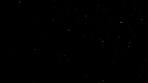Natural Organic Dust Particles Float On Black Background. Dust In Motion. Vidéo 302692147