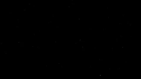Natural Organic Dust Particles Float On Black Background. Dust In Motion. Vidéo 302692156