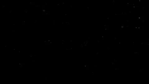 Natural Organic Dust Particles Float On Black Background. Dust In Motion. 库存影片 302694566