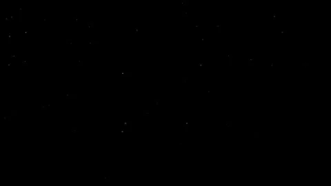 Natural Organic Dust Particles Float On Black Background. Dust In Motion. 库存影片 302694598