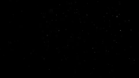 Natural Organic Dust Particles Float On Black Background. Dust In Motion. 库存影片 302694684