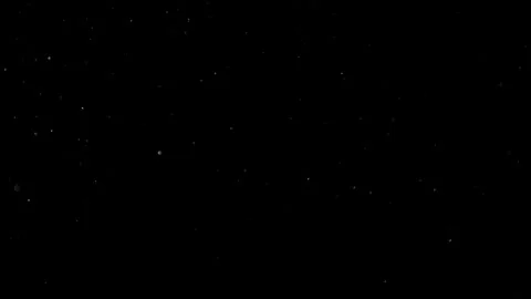 Natural Organic Dust Particles Float On Black Background. Dust In Motion. 库存影片 302694706