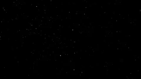 Natural Organic Dust Particles Float On Black Background. Dust In Motion. 库存影片 302694764