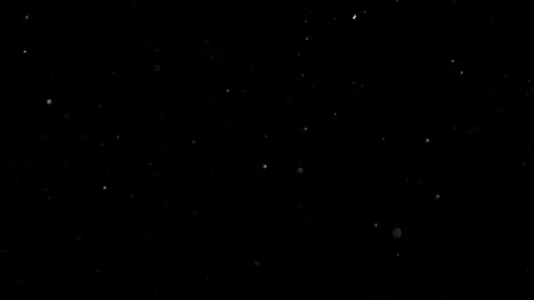 Natural Organic Dust Particles Float On Black Background. Dust In Motion. 库存影片 302695060