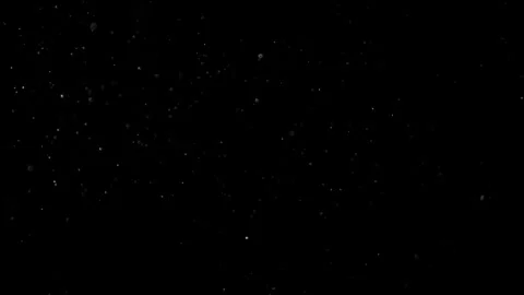 Natural Organic Dust Particles Float On Black Background. Dust In Motion. 库存影片 302695128