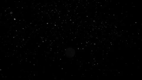 Natural Organic Dust Particles Float On Black Background. Dust In Motion. 库存影片 302695136
