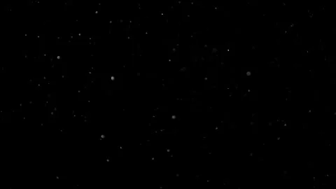 Natural Organic Dust Particles Float On Black Background. Dust In Motion. 库存影片 302695333