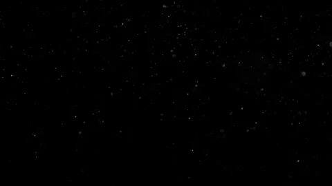 Natural Organic Dust Particles Float On Black Background. Dust In Motion. 库存影片 302695369